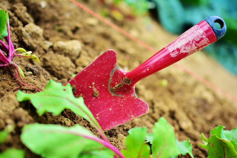 jardinerie-ST CYR SUR MER-min_gardening-2448134